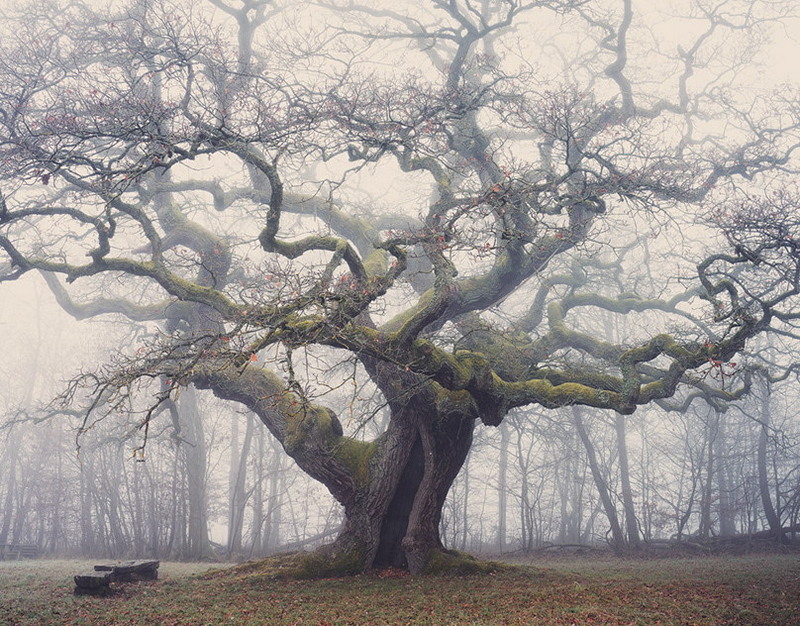 Амур вырвал победу у Сочи, Салават Юлаев был сильнее Шанхайских Драконов