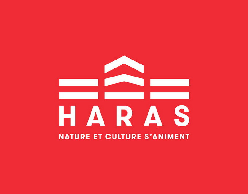 Человек из ВЭБ